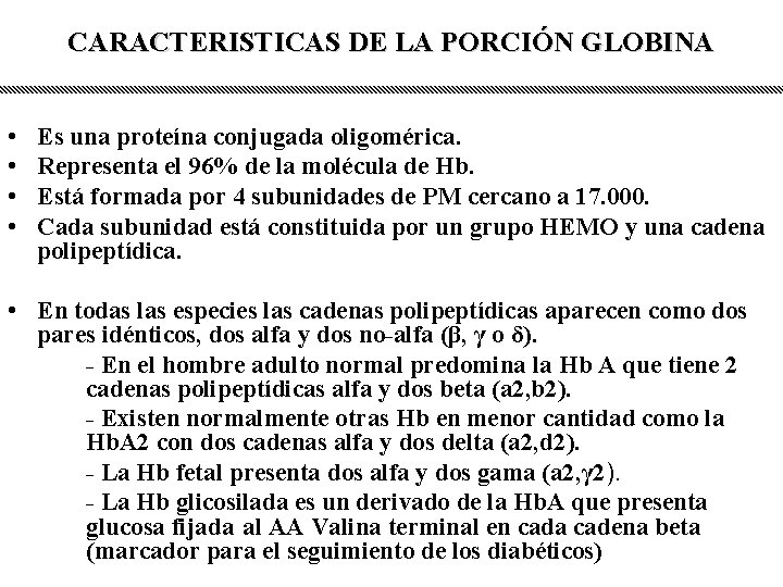 CARACTERISTICAS DE LA PORCIÓN GLOBINA • • Es una proteína conjugada oligomérica. Representa el