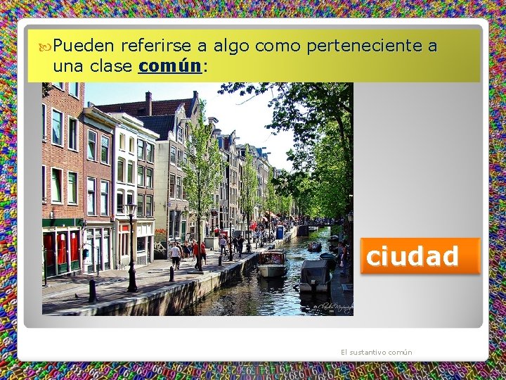 Pueden referirse a algo como perteneciente a una clase común: ciudad El sustantivo Pueden referirse a algo como perteneciente a una clase común: ciudad El sustantivo