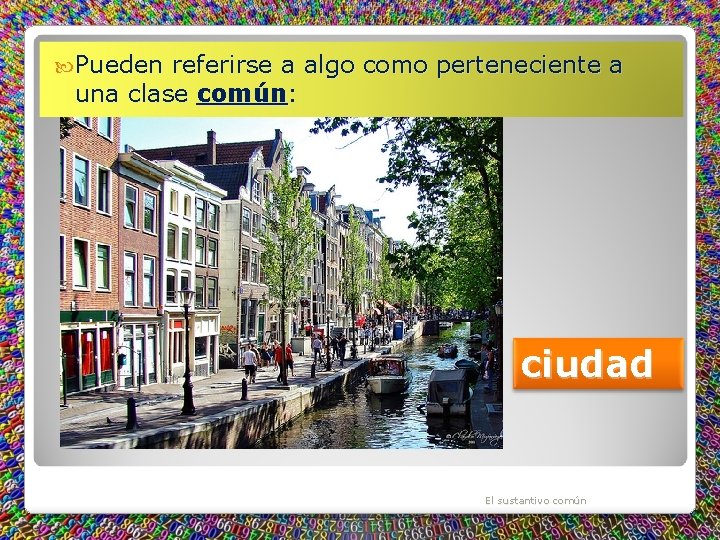  Pueden referirse a algo como perteneciente a una clase común: ciudad El sustantivo