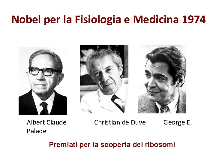 Nobel per la Fisiologia e Medicina 1974 Albert Claude Palade Christian de Duve George