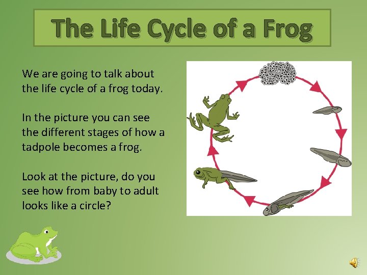 The Life Cycle of a Frog We are going to talk about the life