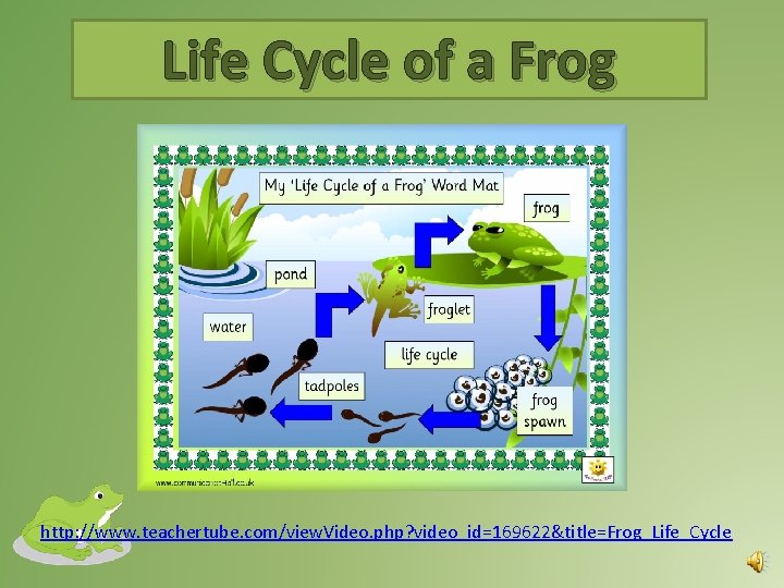 Life Cycle of a Frog http: //www. teachertube. com/view. Video. php? video_id=169622&title=Frog_Life_Cycle 