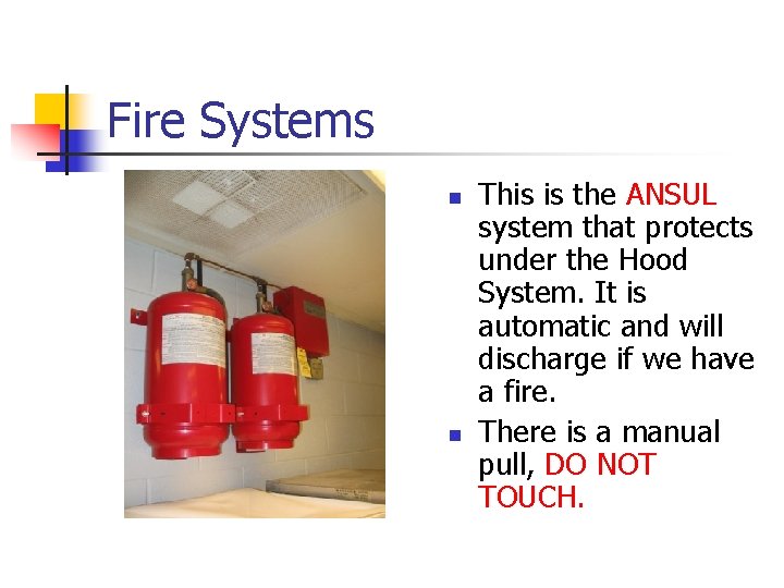 Fire Systems n n This is the ANSUL system that protects under the Hood