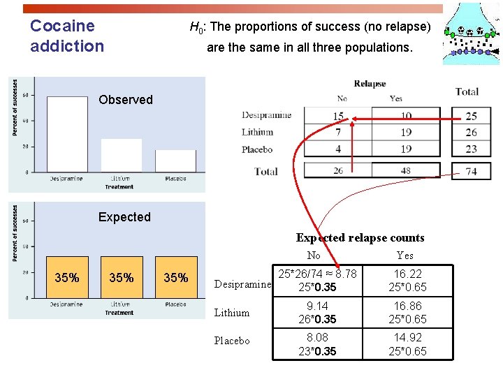 Cocaine addiction H 0: The proportions of success (no relapse) are the same in