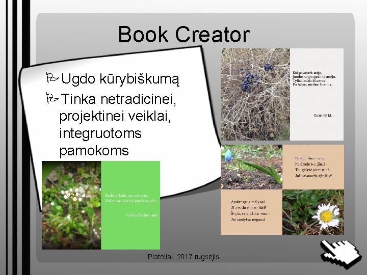 Book Creator Ugdo kūrybiškumą Tinka netradicinei, projektinei veiklai, integruotoms pamokoms Plateliai, 2017 rugsėjis 