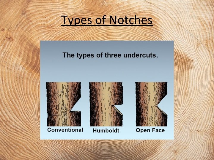 Types of Notches 
