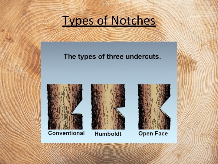 Types of Notches 