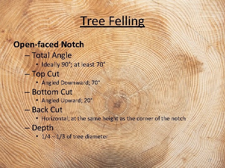Tree Felling Open-faced Notch – Total Angle • Ideally 90°; at least 70° –