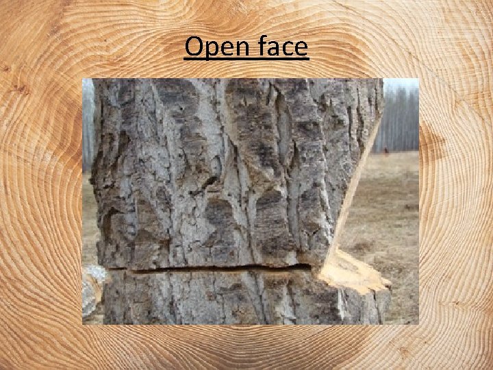 Open face 