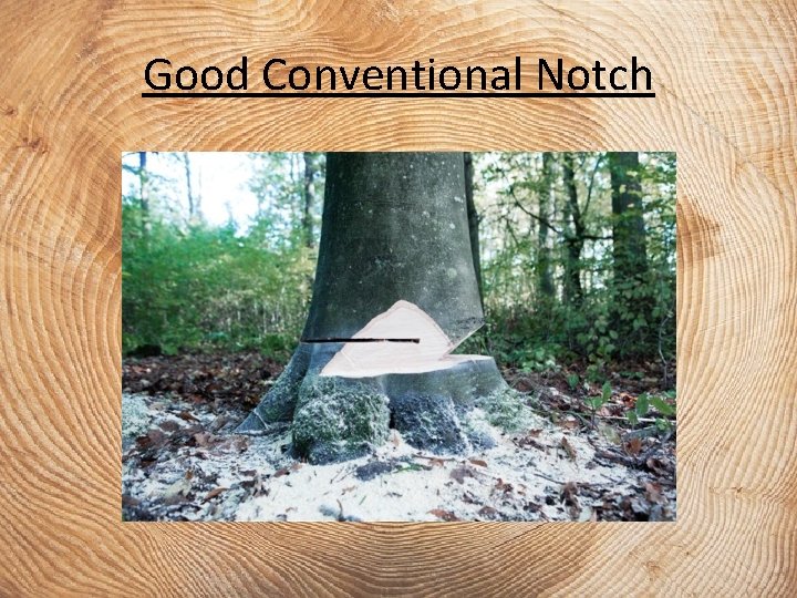 Good Conventional Notch 