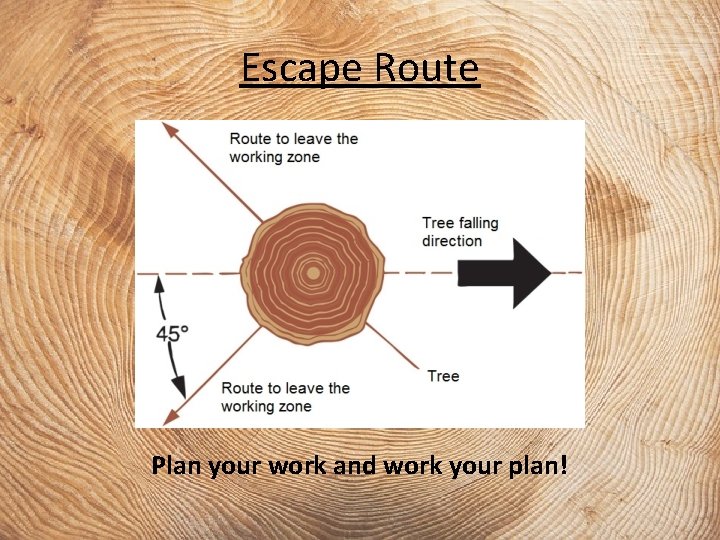 Escape Route Plan your work and work your plan! 