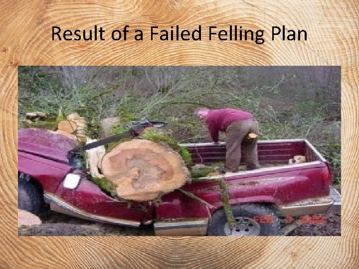 Result of a Failed Felling Plan 