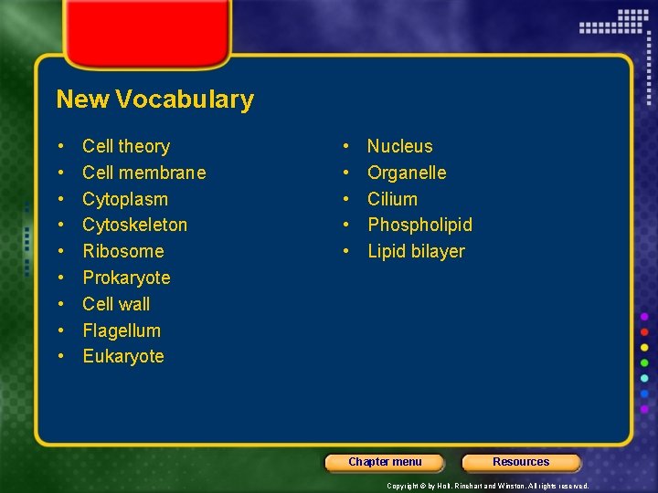 New Vocabulary • • • Cell theory Cell membrane Cytoplasm Cytoskeleton Ribosome Prokaryote Cell