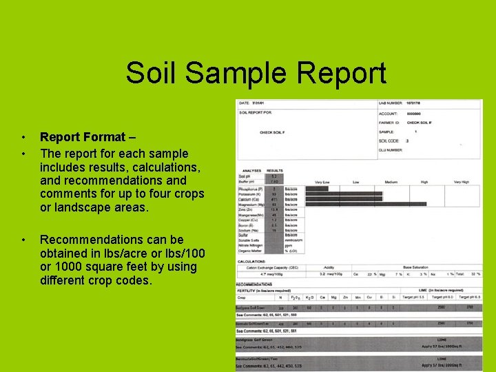 Soil Sample Report • • Report Format – The report for each sample includes