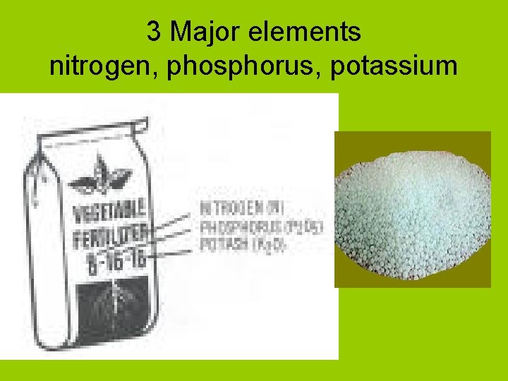 3 Major elements nitrogen, phosphorus, potassium 