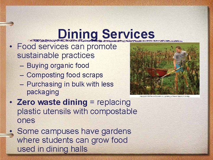 Dining Services • Food services can promote sustainable practices – Buying organic food –