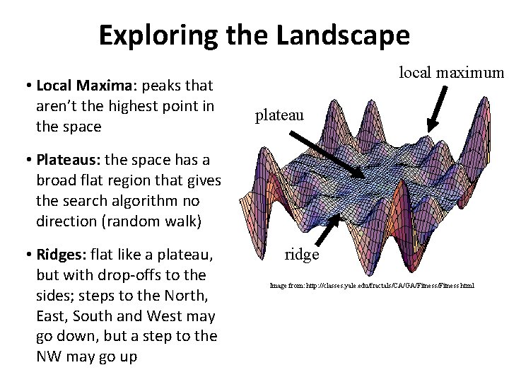 Exploring the Landscape • Local Maxima: peaks that aren’t the highest point in the