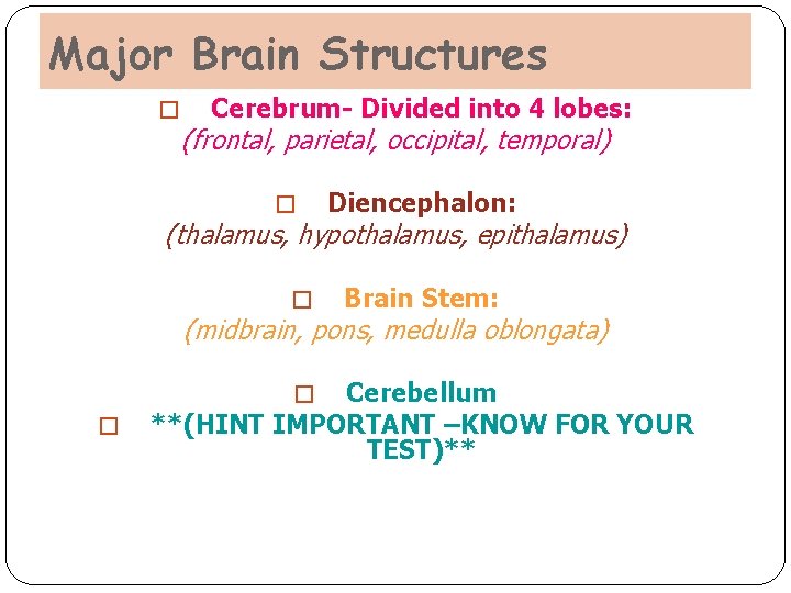 Major Brain Structures � Cerebrum- Divided into 4 lobes: (frontal, parietal, occipital, temporal) � Major Brain Structures � Cerebrum- Divided into 4 lobes: (frontal, parietal, occipital, temporal) �