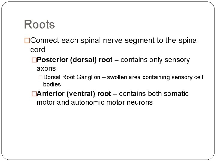 Roots �Connect each spinal nerve segment to the spinal cord �Posterior (dorsal) root – Roots �Connect each spinal nerve segment to the spinal cord �Posterior (dorsal) root –