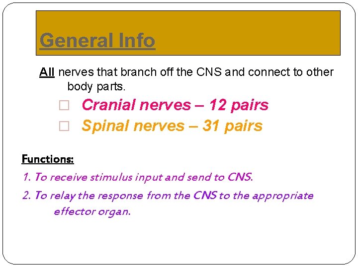 General Info All nerves that branch off the CNS and connect to other body General Info All nerves that branch off the CNS and connect to other body