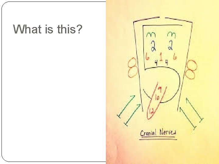 What is this? What is this?