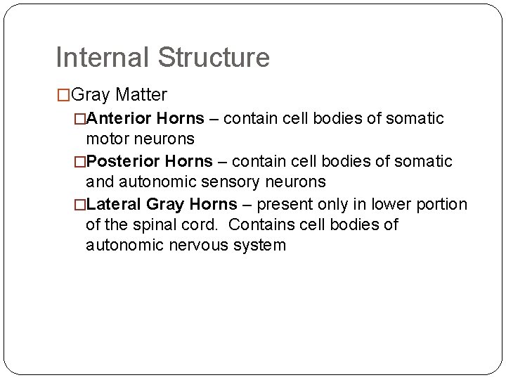 Internal Structure �Gray Matter �Anterior Horns – contain cell bodies of somatic motor neurons Internal Structure �Gray Matter �Anterior Horns – contain cell bodies of somatic motor neurons