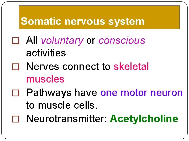 Somatic nervous system � All voluntary or conscious activities � Nerves connect to skeletal Somatic nervous system � All voluntary or conscious activities � Nerves connect to skeletal