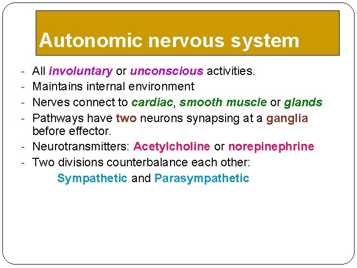 Autonomic nervous system - All involuntary or unconscious activities. - Maintains internal environment - Autonomic nervous system - All involuntary or unconscious activities. - Maintains internal environment -