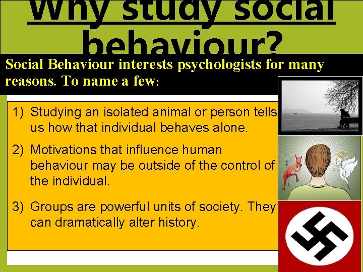 Why study social behaviour? Social Behaviour interests psychologists for many reasons. To name a