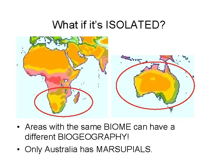 What if it’s ISOLATED? • Areas with the same BIOME can have a different