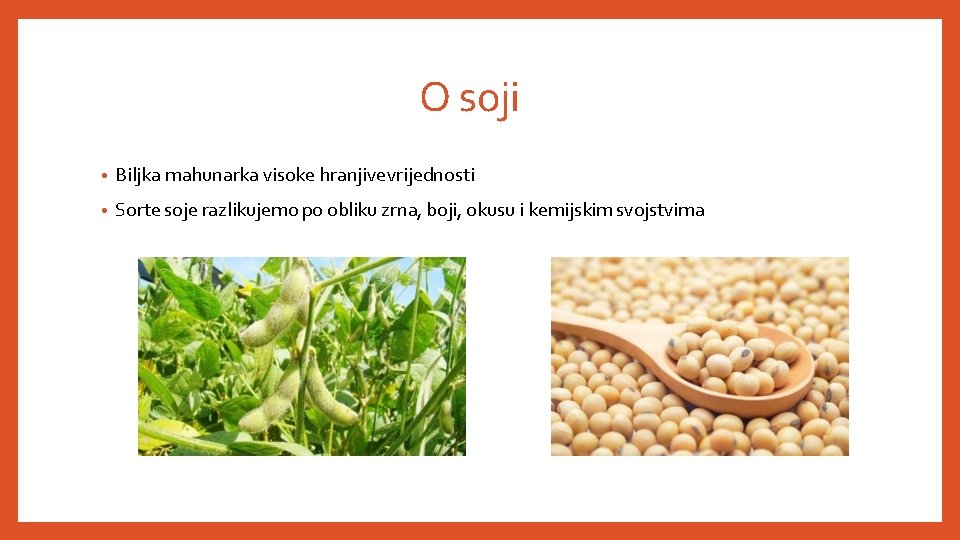 O soji • Biljka mahunarka visoke hranjive vrijednosti • Sorte soje razlikujemo po obliku