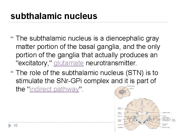 subthalamic nucleus The subthalamic nucleus is a diencephalic gray matter portion of the basal