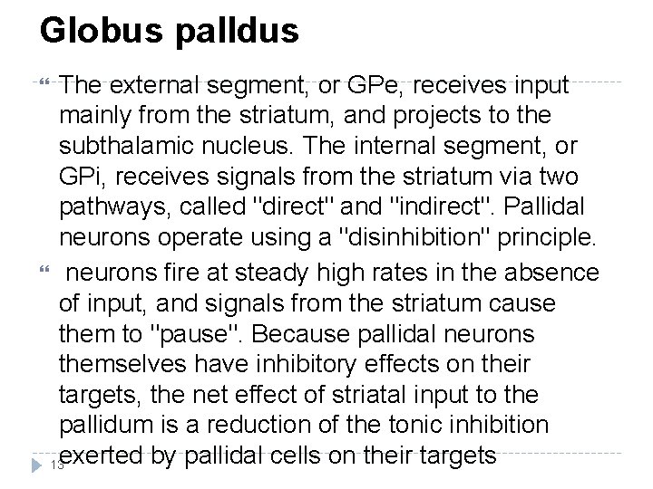 Globus palldus The external segment, or GPe, receives input mainly from the striatum, and