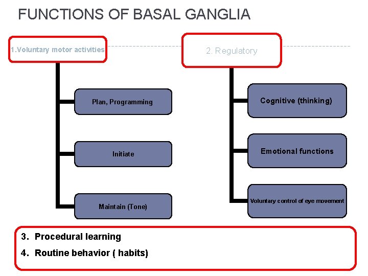 FUNCTIONS OF BASAL GANGLIA 1. Voluntary motor activities 2. Regulatory Plan, Programming Cognitive (thinking)