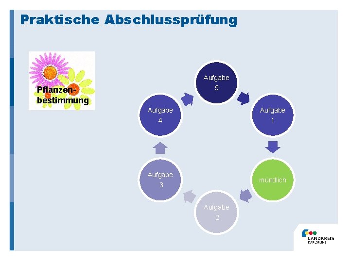 Praktische Abschlussprüfung Aufgabe 5 Pflanzenbestimmung Aufgabe 4 1 Aufgabe mündlich 3 Aufgabe 2 