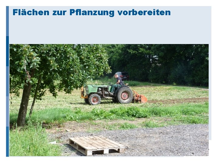 Flächen zur Pflanzung vorbereiten 