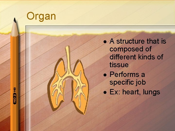Organ l l l A structure that is composed of different kinds of tissue
