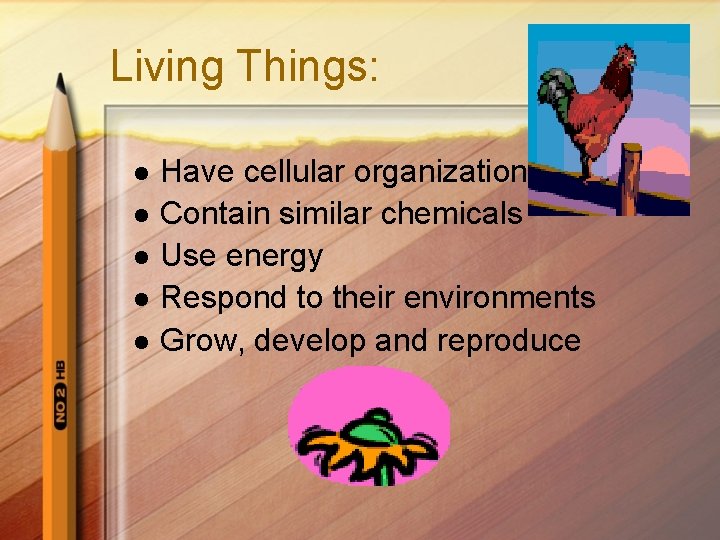 Living Things: l l l Have cellular organization Contain similar chemicals Use energy Respond