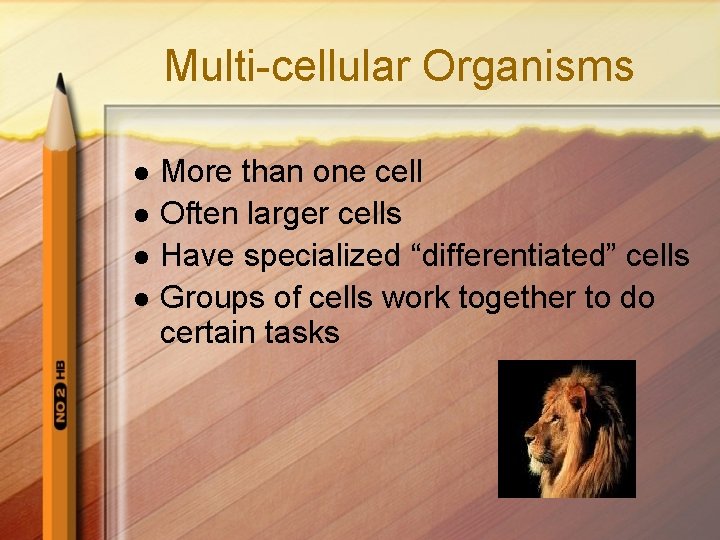 Multi-cellular Organisms l l More than one cell Often larger cells Have specialized “differentiated”