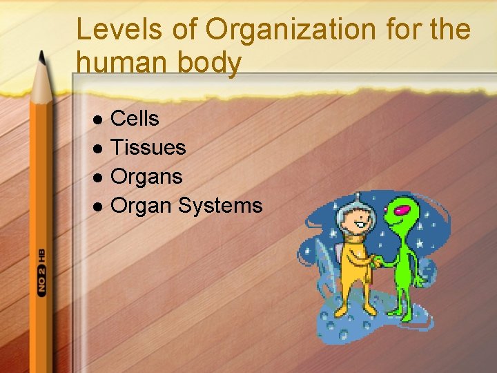 Levels of Organization for the human body l l Cells Tissues Organ Systems 