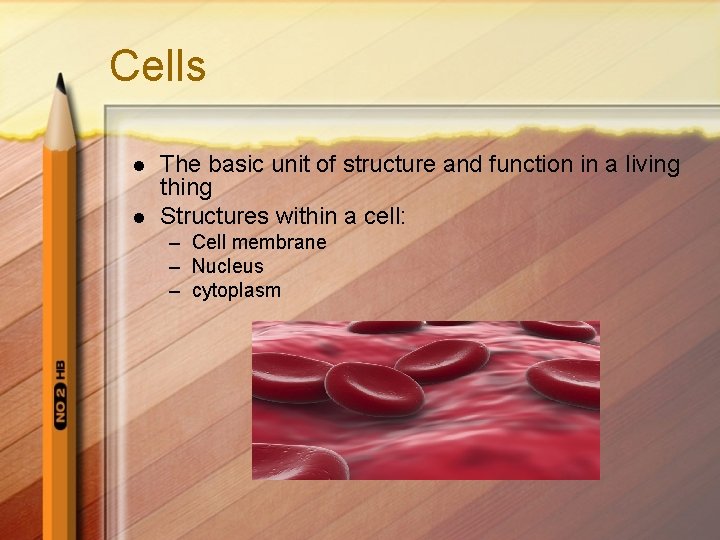 Cells l l The basic unit of structure and function in a living thing