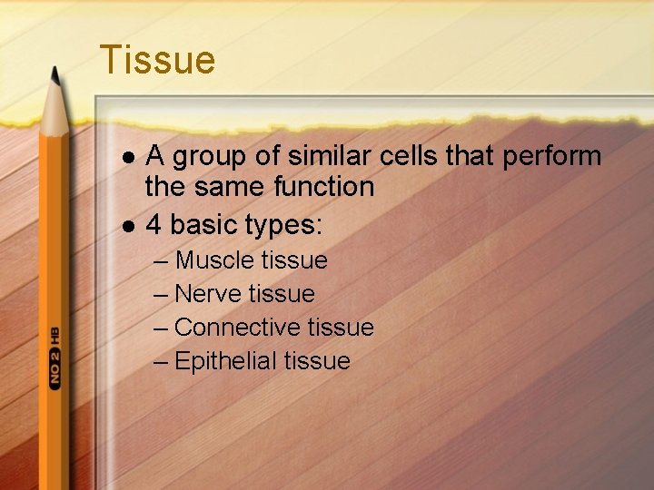 Tissue l l A group of similar cells that perform the same function 4