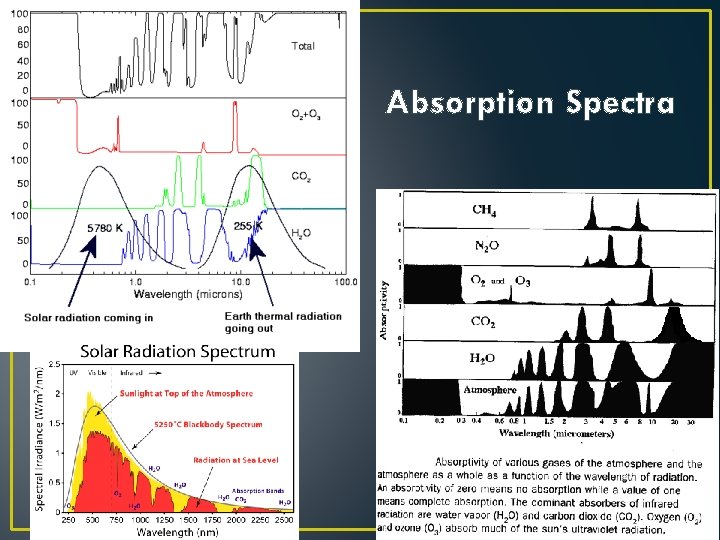 Absorption Spectra 