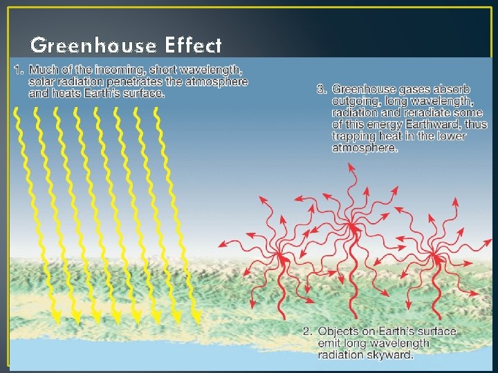Greenhouse Effect 