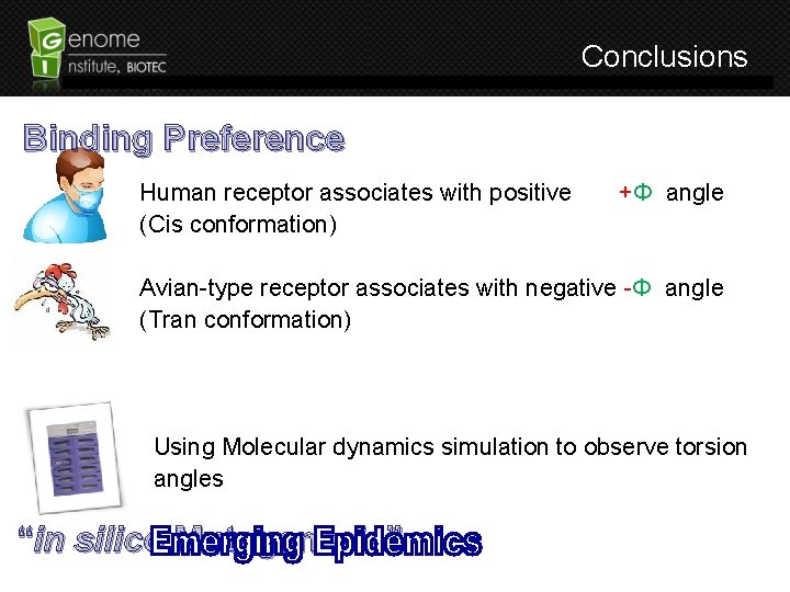 Conclusions Binding Preference Human receptor associates with positive (Cis conformation) +Φ angle Avian-type receptor