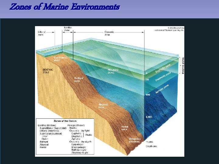 Zones of Marine Environments 