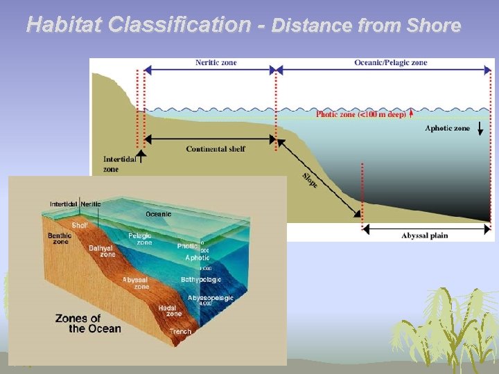 Habitat Classification - Distance from Shore 