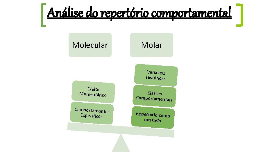 Análise do repertório comportamental Molecular Molar Variáveis Históricas Efeito Momentâneo Comportamentos Específicos Classes Comportamentais