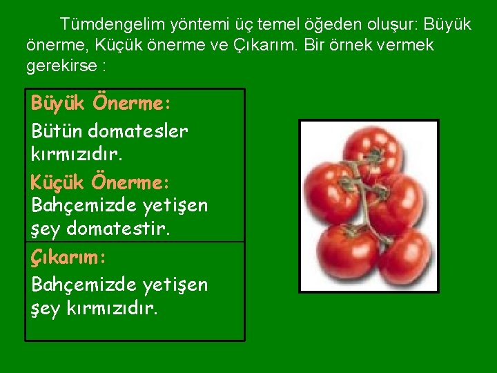 Tümdengelim yöntemi üç temel öğeden oluşur: Büyük önerme, Küçük önerme ve Çıkarım. Bir örnek