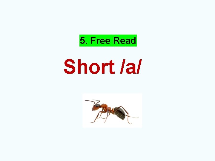 5. Free Read Short /a/ 